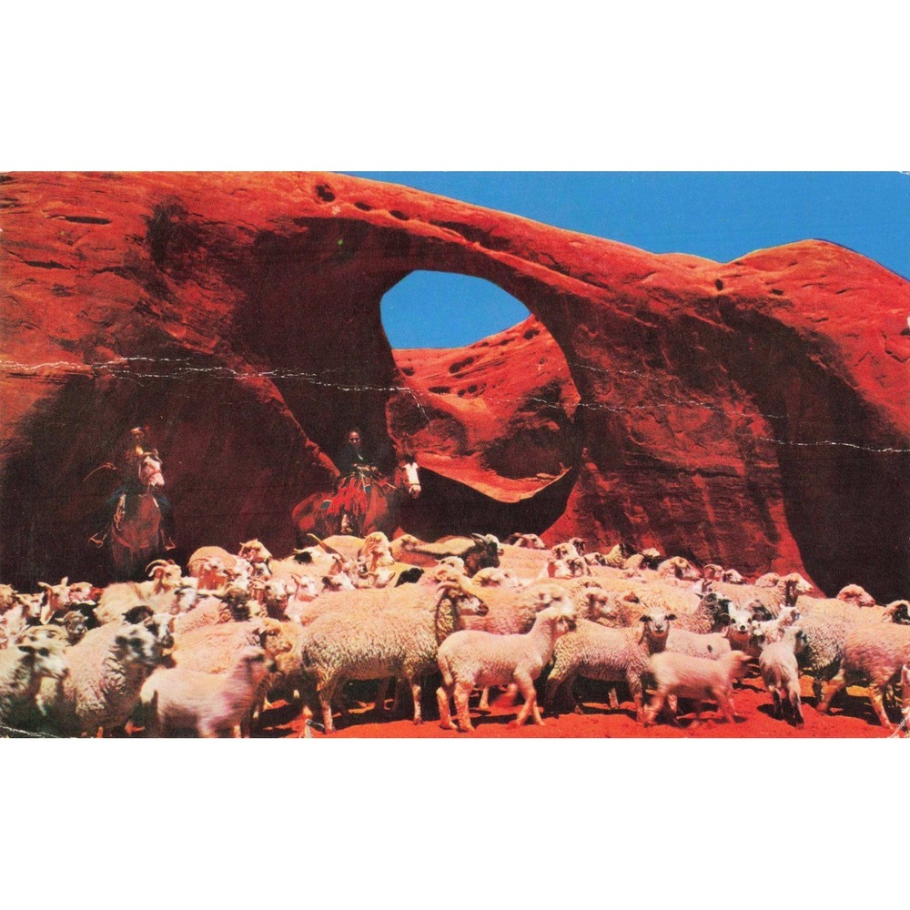 Window Rock Arizona AZ Navajo Indian Sheepherders Petley Vtg Postcard Postmarked - Picture 1 of 2